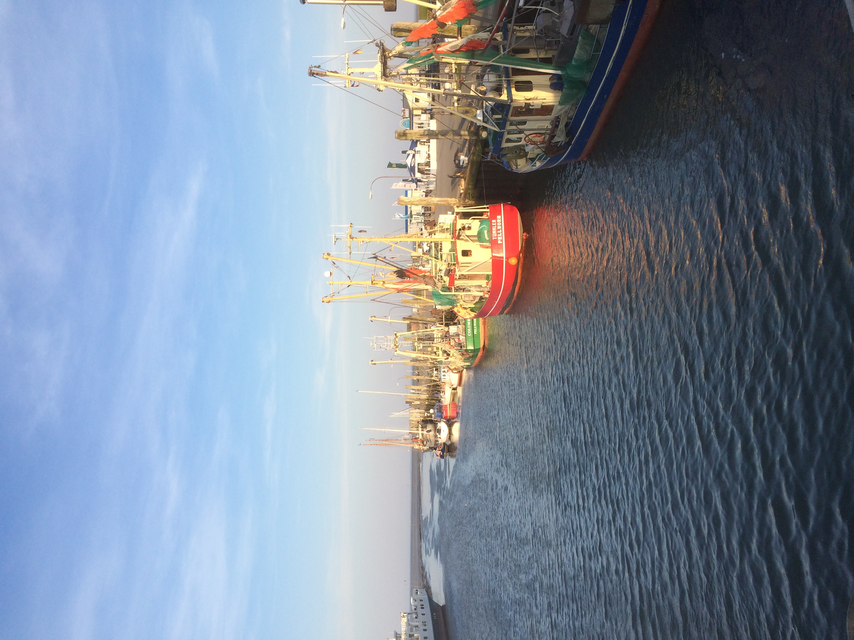 Insel und Meer Pellworm