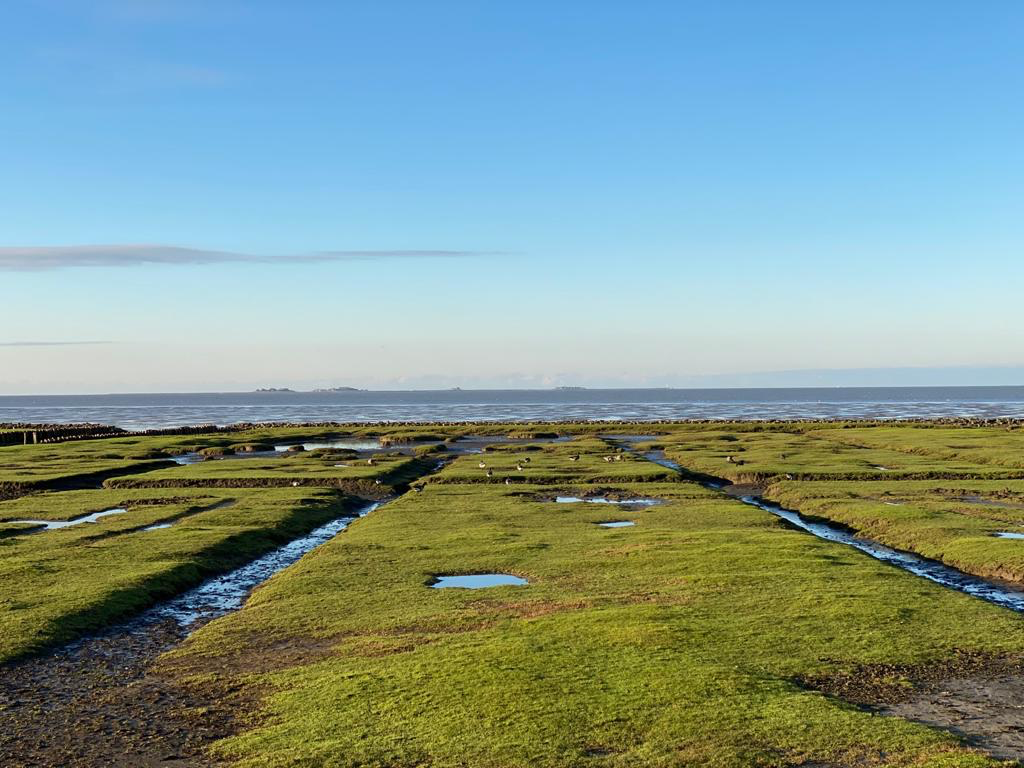 Insel und Meer Pellworm
