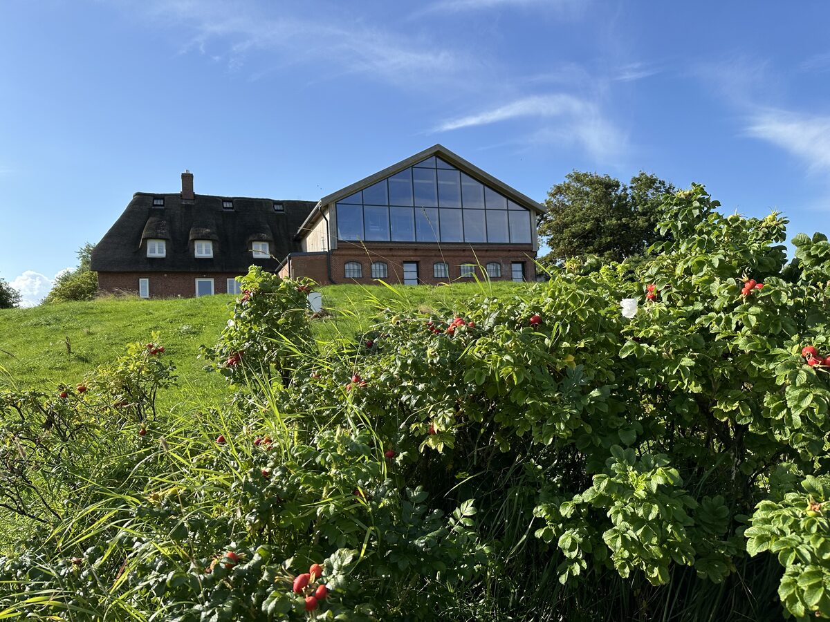 Catharinenwarft Scheune mit Glasfront